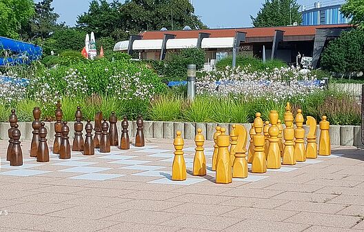Bild: Schachfeld